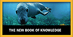 The New Book of Knowledge